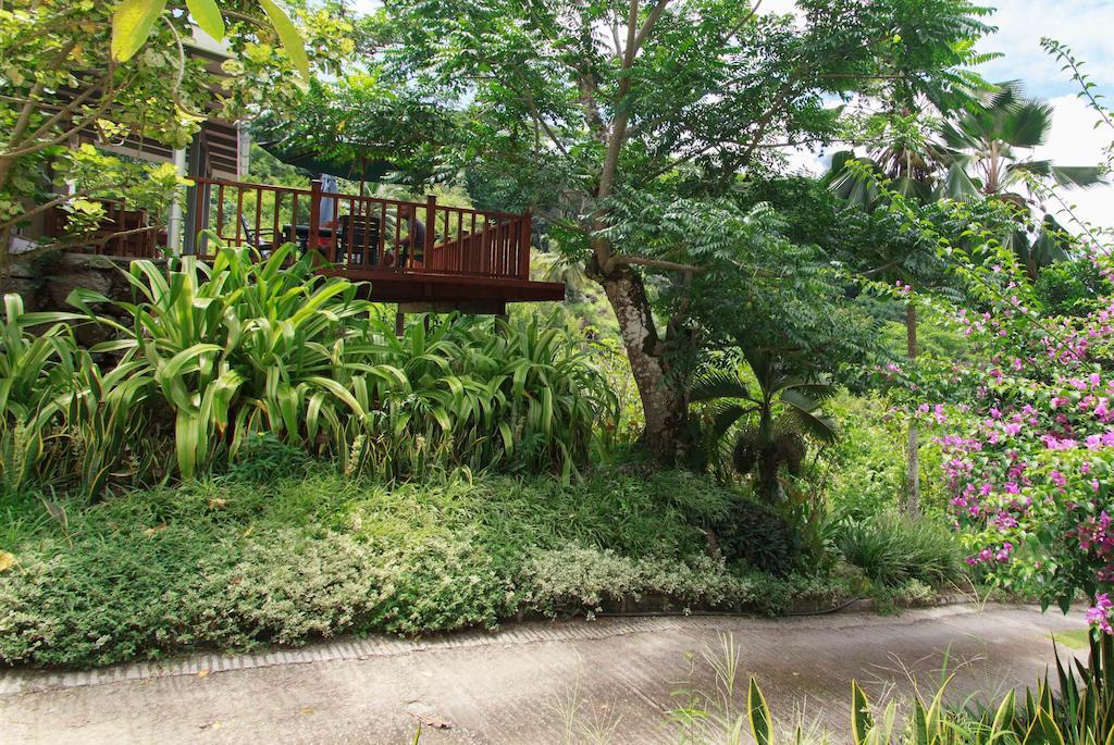 Appartement Coco Blanche à Anse Royale Extérieur photo