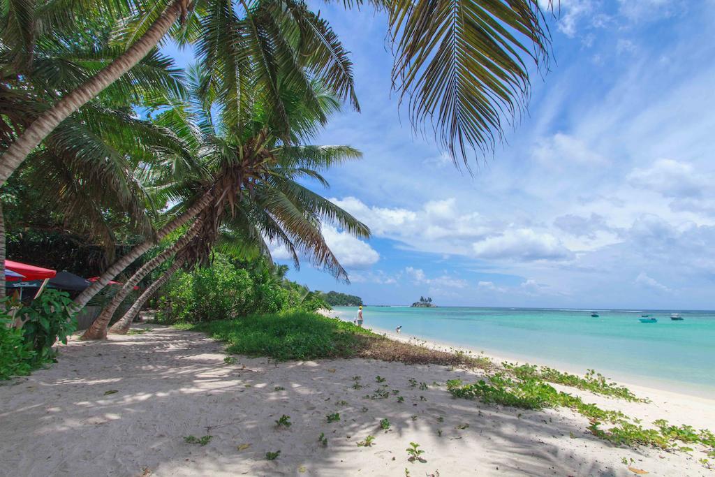 Appartement Coco Blanche à Anse Royale Extérieur photo